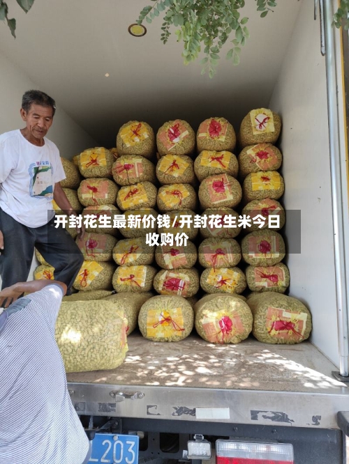 开封花生最新价钱/开封花生米今日收购价-第3张图片