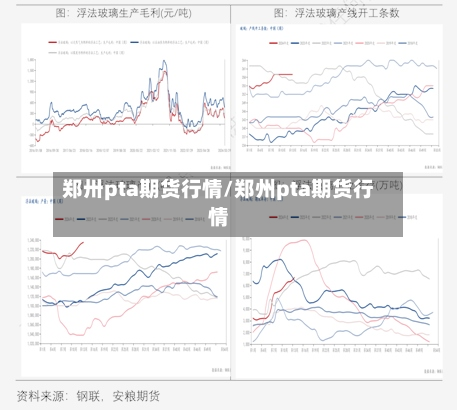 郑卅pta期货行情/郑州pta期货行情-第1张图片