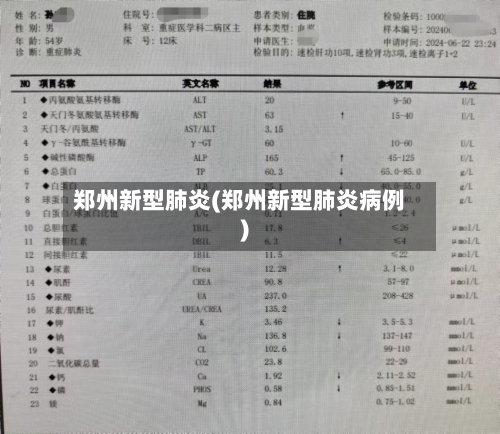 郑州新型肺炎(郑州新型肺炎病例)-第2张图片