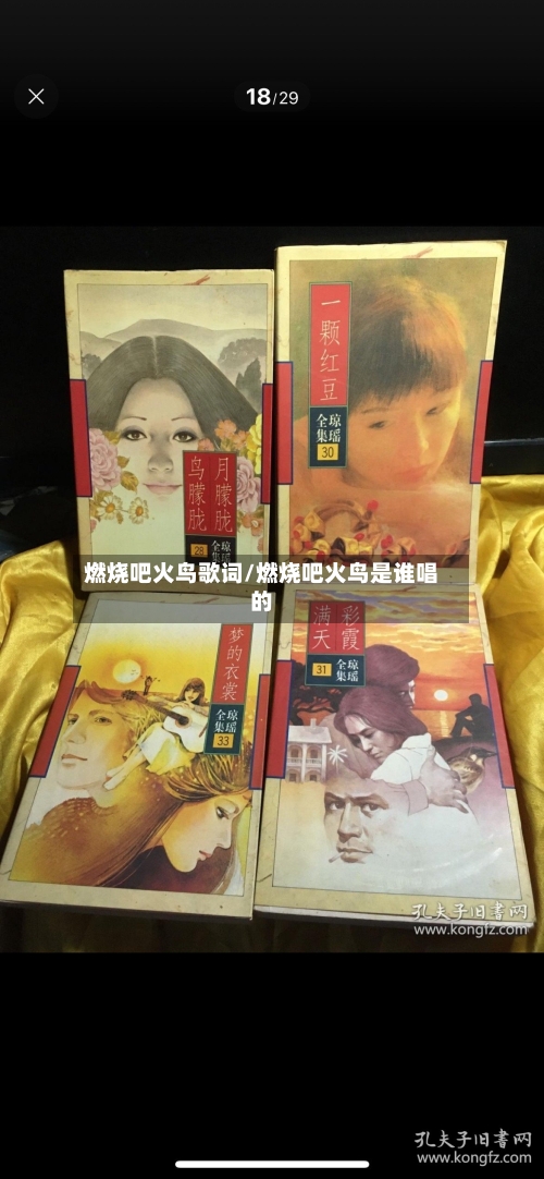 燃烧吧火鸟歌词/燃烧吧火鸟是谁唱的-第2张图片