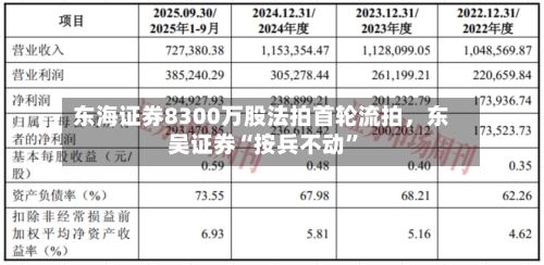 东海证券8300万股法拍首轮流拍，东吴证券“按兵不动”-第3张图片