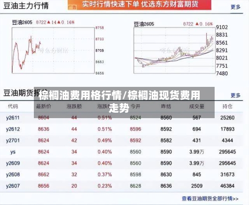 棕榈油费用格行情/棕榈油现货费用走势-第2张图片