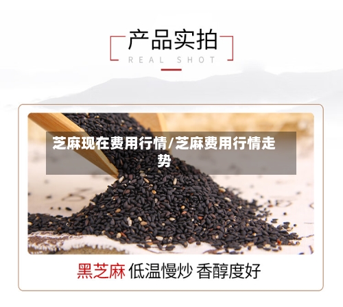 芝麻现在费用行情/芝麻费用行情走势-第1张图片