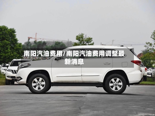 南阳汽油费用/南阳汽油费用调整最新消息-第2张图片