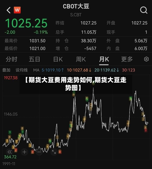 【期货大豆费用走势如何,期货大豆走势图】-第2张图片