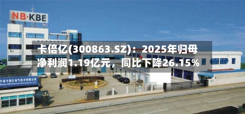 卡倍亿(300863.SZ)：2025年归母净利润1.19亿元，同比下降26.15%-第1张图片