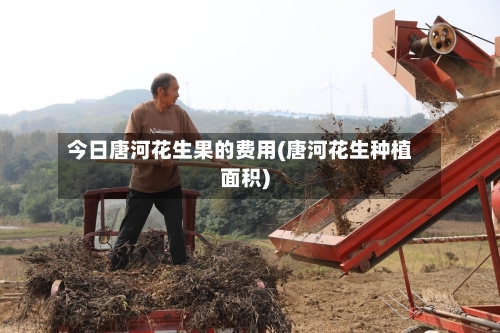 今日唐河花生果的费用(唐河花生种植面积)-第2张图片