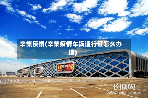 辛集疫情(辛集疫情车辆通行证怎么办理)-第1张图片