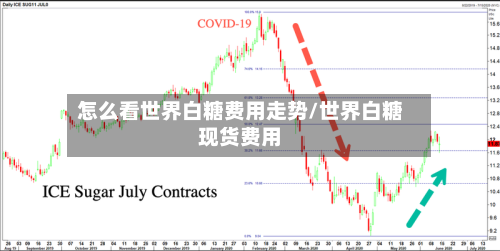 怎么看世界白糖费用走势/世界白糖现货费用-第2张图片