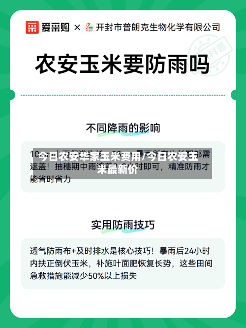 今日农安华家玉米费用/今日农安玉米最新价-第2张图片