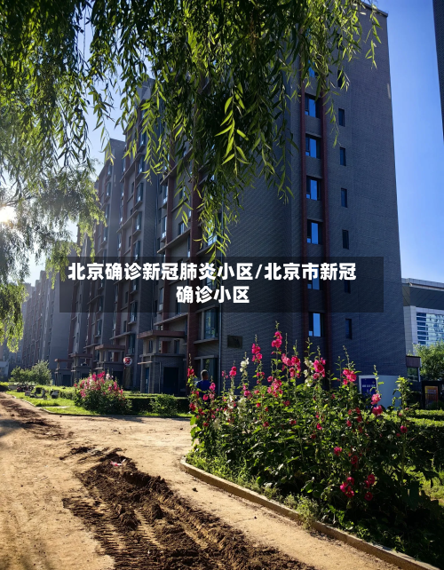 北京确诊新冠肺炎小区/北京市新冠确诊小区-第2张图片