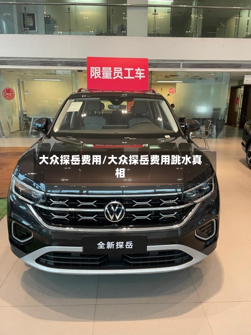 大众探岳费用/大众探岳费用跳水真相-第1张图片