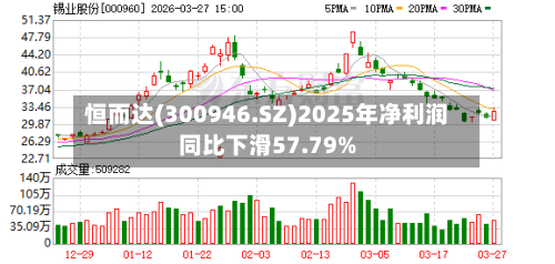 恒而达(300946.SZ)2025年净利润同比下滑57.79%-第1张图片
