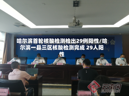 哈尔滨首轮核酸检测检出29例阳性/哈尔滨一县三区核酸检测完成 29人阳性-第1张图片