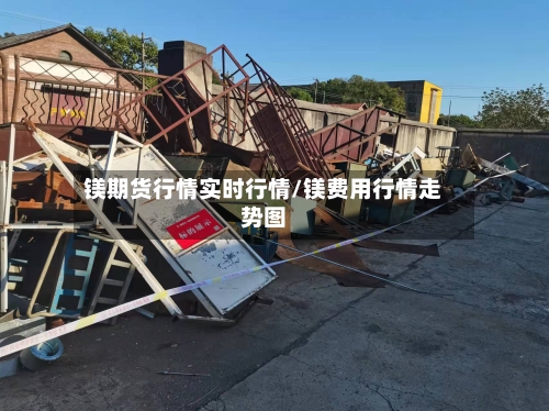 镁期货行情实时行情/镁费用行情走势图-第2张图片