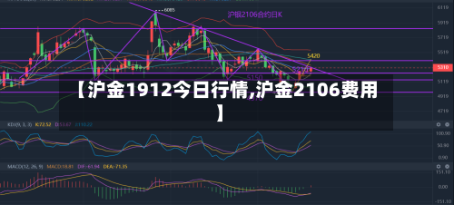 【沪金1912今日行情,沪金2106费用】-第2张图片