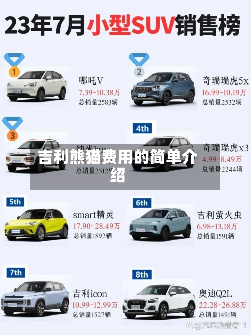吉利熊猫费用的简单介绍-第1张图片