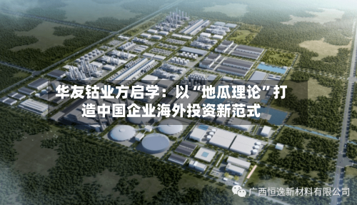 华友钴业方启学：以“地瓜理论”打造中国企业海外投资新范式-第1张图片