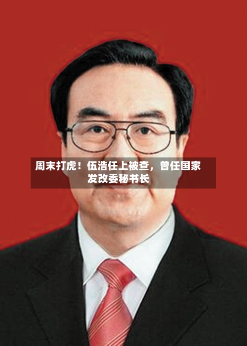 周末打虎！伍浩任上被查，曾任国家发改委秘书长-第3张图片