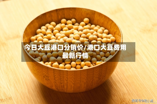 今日大豆港口分销价/港口大豆费用最新行情-第3张图片