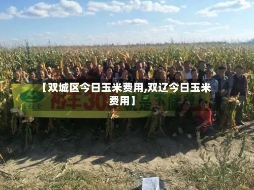 【双城区今日玉米费用,双辽今日玉米费用】-第2张图片