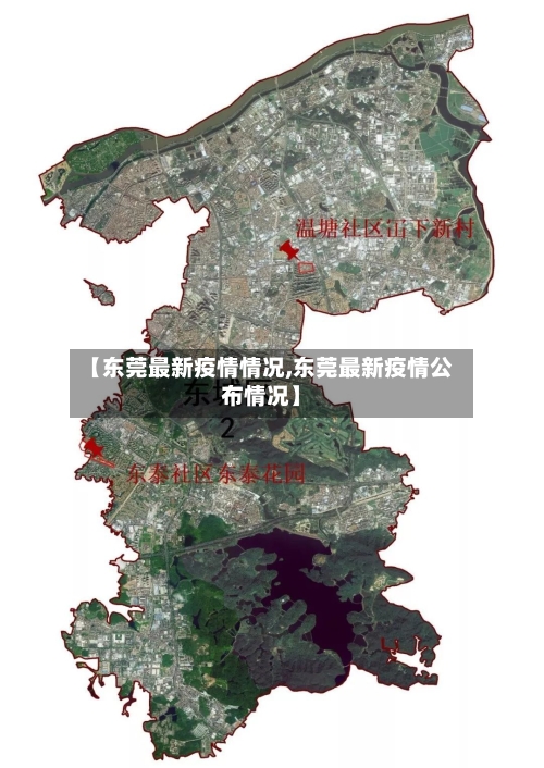 【东莞最新疫情情况,东莞最新疫情公布情况】-第3张图片