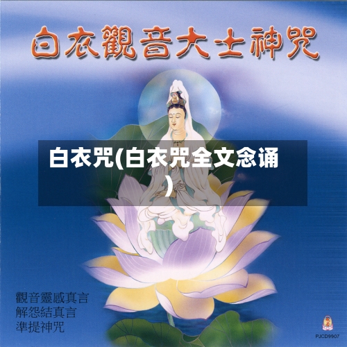白衣咒(白衣咒全文念诵)-第2张图片
