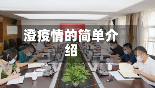 澄疫情的简单介绍-第2张图片