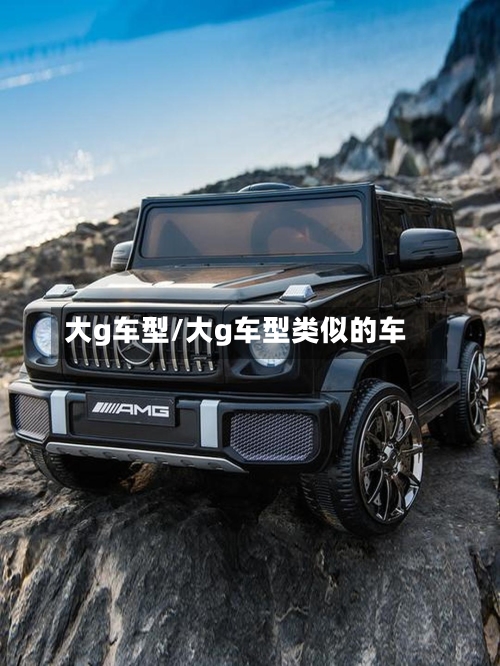 大g车型/大g车型类似的车-第3张图片