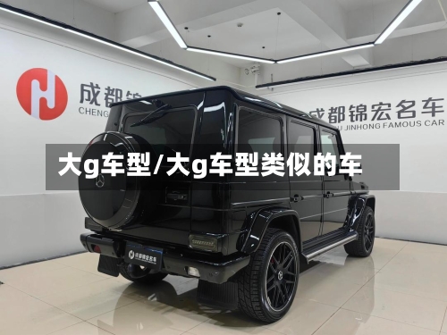 大g车型/大g车型类似的车-第2张图片