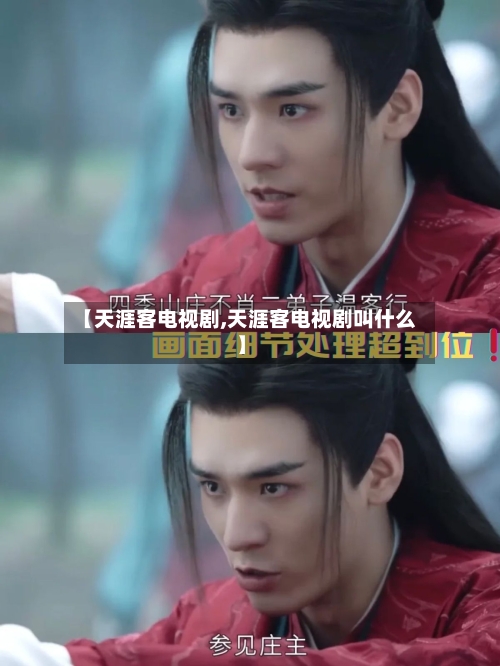 【天涯客电视剧,天涯客电视剧叫什么】-第2张图片