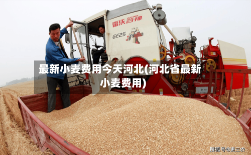 最新小麦费用今天河北(河北省最新小麦费用)-第1张图片