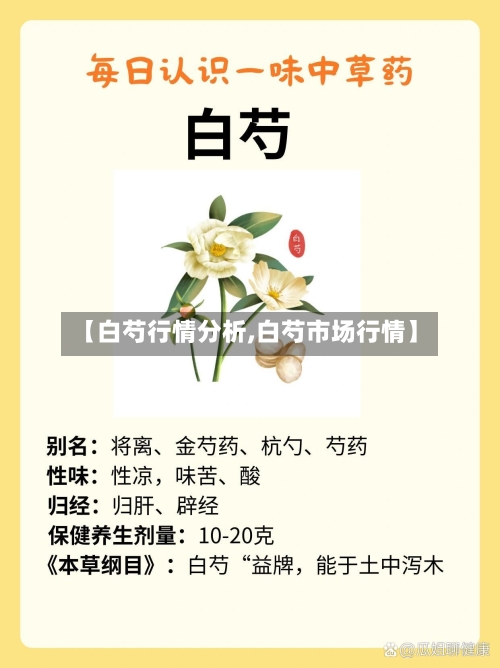 【白芍行情分析,白芍市场行情】-第1张图片