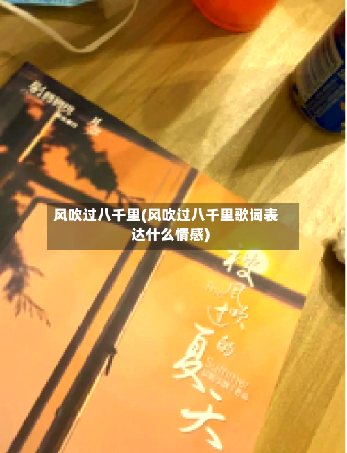 风吹过八千里(风吹过八千里歌词表达什么情感)-第1张图片