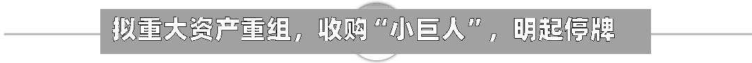 拟重大资产重组	，收购“小巨人”，明起停牌-第1张图片