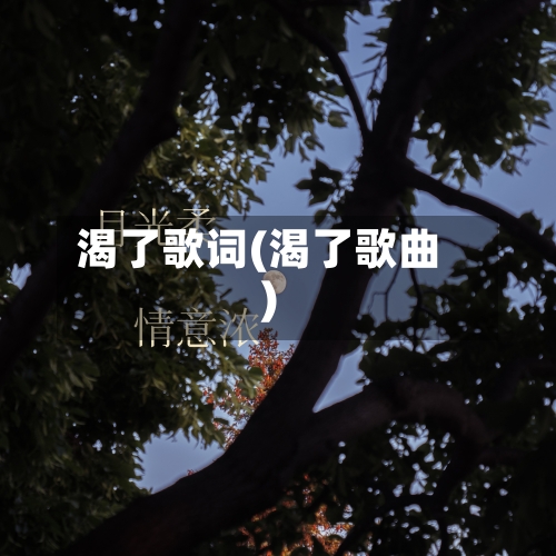 渴了歌词(渴了歌曲)-第2张图片