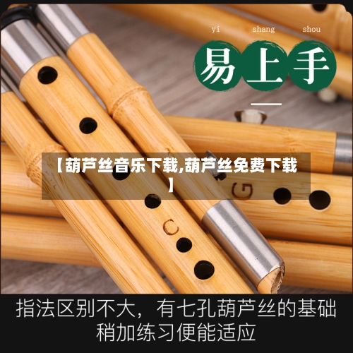 【葫芦丝音乐下载,葫芦丝免费下载】-第2张图片