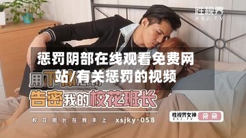 惩罚阴部在线观看免费网站/有关惩罚的视频-第3张图片