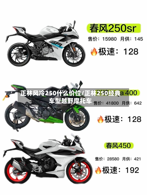 正林风冷250什么价位/正林250经典车型越野摩托车-第1张图片