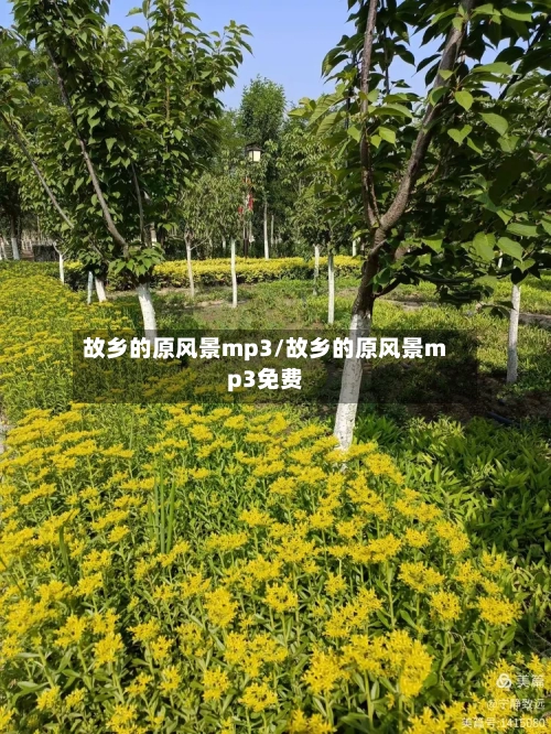 故乡的原风景mp3/故乡的原风景mp3免费-第3张图片