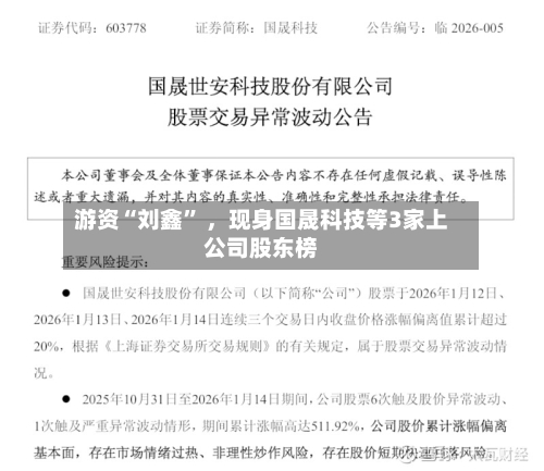 游资“刘鑫” ，现身国晟科技等3家上公司股东榜-第2张图片