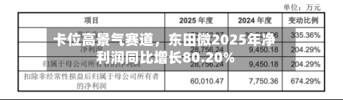 卡位高景气赛道，东田微2025年净利润同比增长80.20%-第2张图片