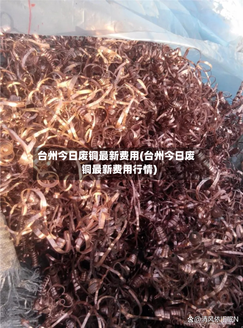 台州今日废铜最新费用(台州今日废铜最新费用行情)-第2张图片