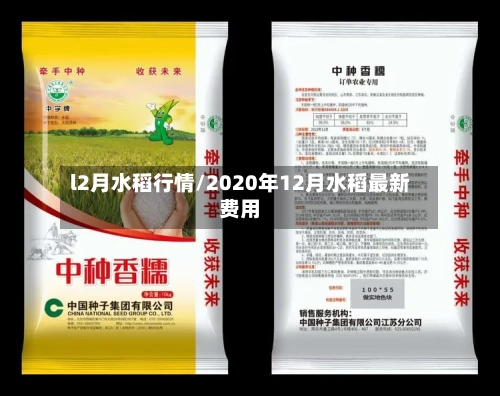 l2月水稻行情/2020年12月水稻最新费用-第1张图片