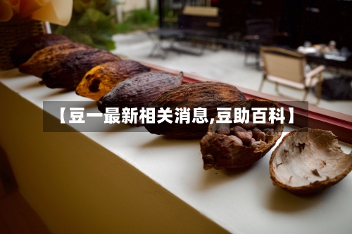 【豆一最新相关消息,豆助百科】-第1张图片