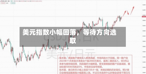 美元指数小幅回落	，等待方向选取-第1张图片