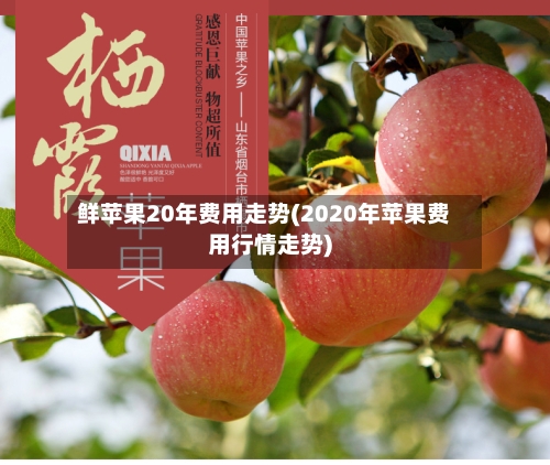 鲜苹果20年费用走势(2020年苹果费用行情走势)-第1张图片