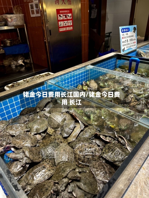 铑金今日费用长江国内/铑金今日费用 长江-第3张图片