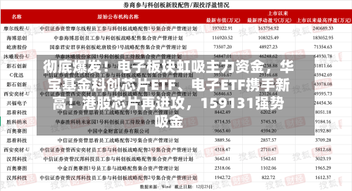 彻底爆发！电子板块虹吸主力资金	，华宝基金科创芯片ETF	、电子ETF携手新高！港股芯片再进攻，159131强势吸金-第3张图片