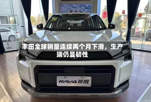 丰田全球销量连续两个月下滑，生产端仍显韧性-第3张图片